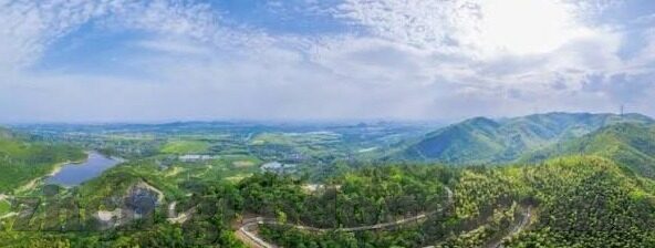 大象传媒5次免费-探索大象传媒的5次免费盛宴，解锁文化传播的新篇章