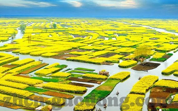 麻豆91国产视频-麻豆91，国产视频的本土魅力与创意探索