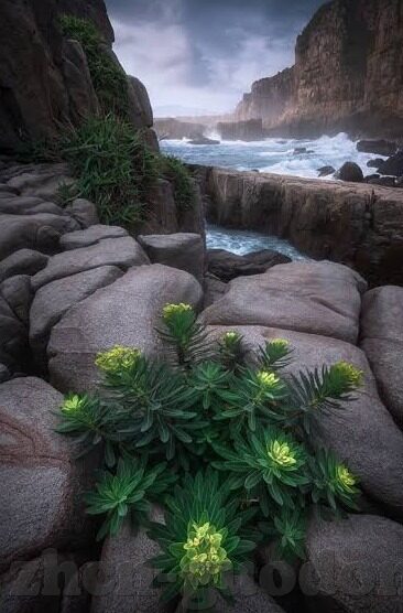 麻豆传媒官网-麻豆传媒官网，引领时尚与文化的交汇