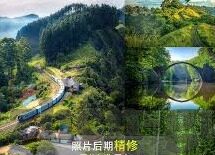麻豆传媒果冻视频-麻豆传媒与果冻视频，网络内容生态的多元视角