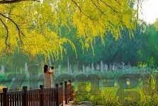 午夜精品人妻电影-午夜绮梦，人妻的微妙情感世界