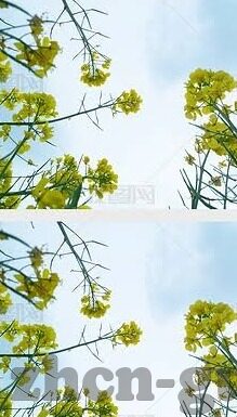 亚洲日韩精品欧美一区二区一-亚洲影视文化，日韩精品与欧美一区二区的多元视角