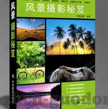 在线观看 果冻传媒-探索在线观看果冻传媒的多元化体验
