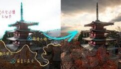 正版糖心app-走进数字时代的甜蜜花园，正版糖心app的魅力与影响